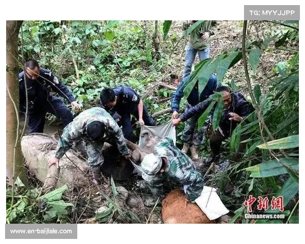 3 岁弟弟玩耍时推哥哥落水,幸水沟浅未受伤 3 岁弟弟玩耍时推哥哥落水,幸水沟浅未受伤